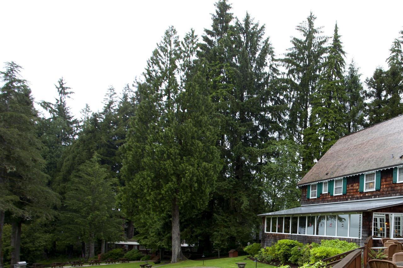 奎纳尔特湖山林小屋 奎诺尔特 外观 照片