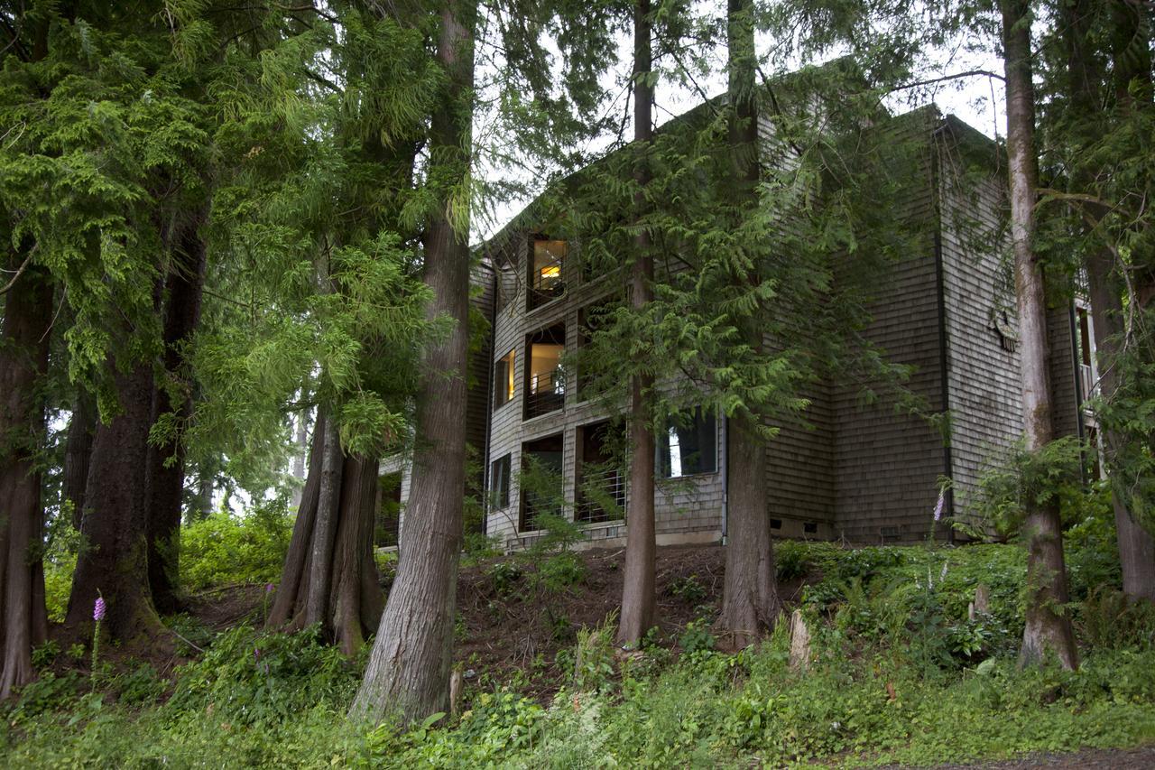 奎纳尔特湖山林小屋 奎诺尔特 外观 照片