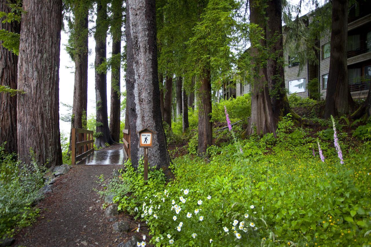 奎纳尔特湖山林小屋 奎诺尔特 外观 照片