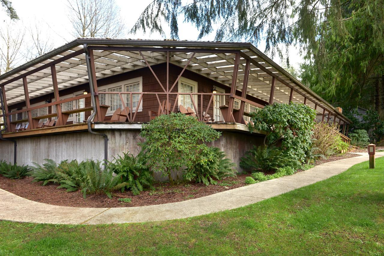 奎纳尔特湖山林小屋 奎诺尔特 外观 照片